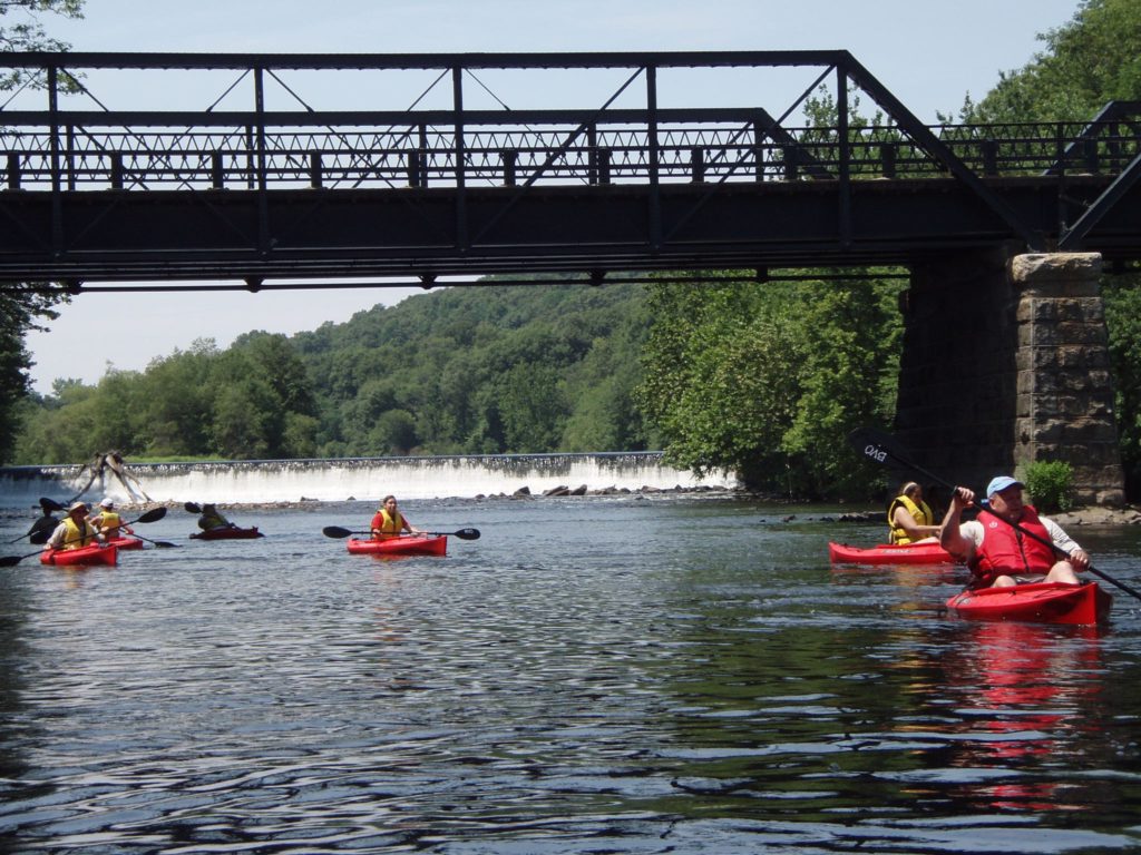 Paddle club(2)