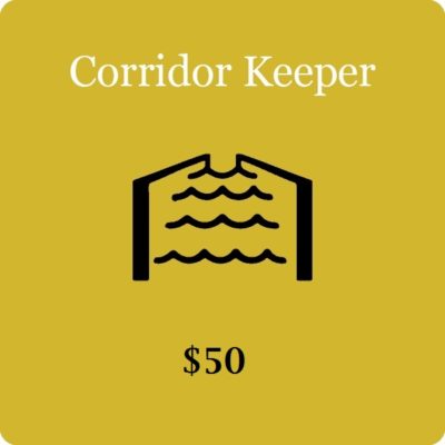 Corridor-Keeper50
