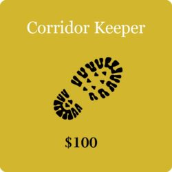Corridor-Keeper-100