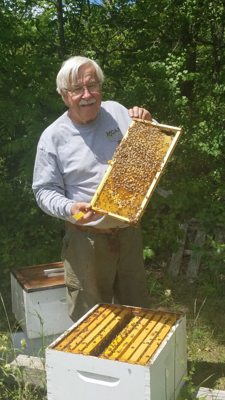 Protect Our Pollinators - Blackstone River Valley National Heritage ...