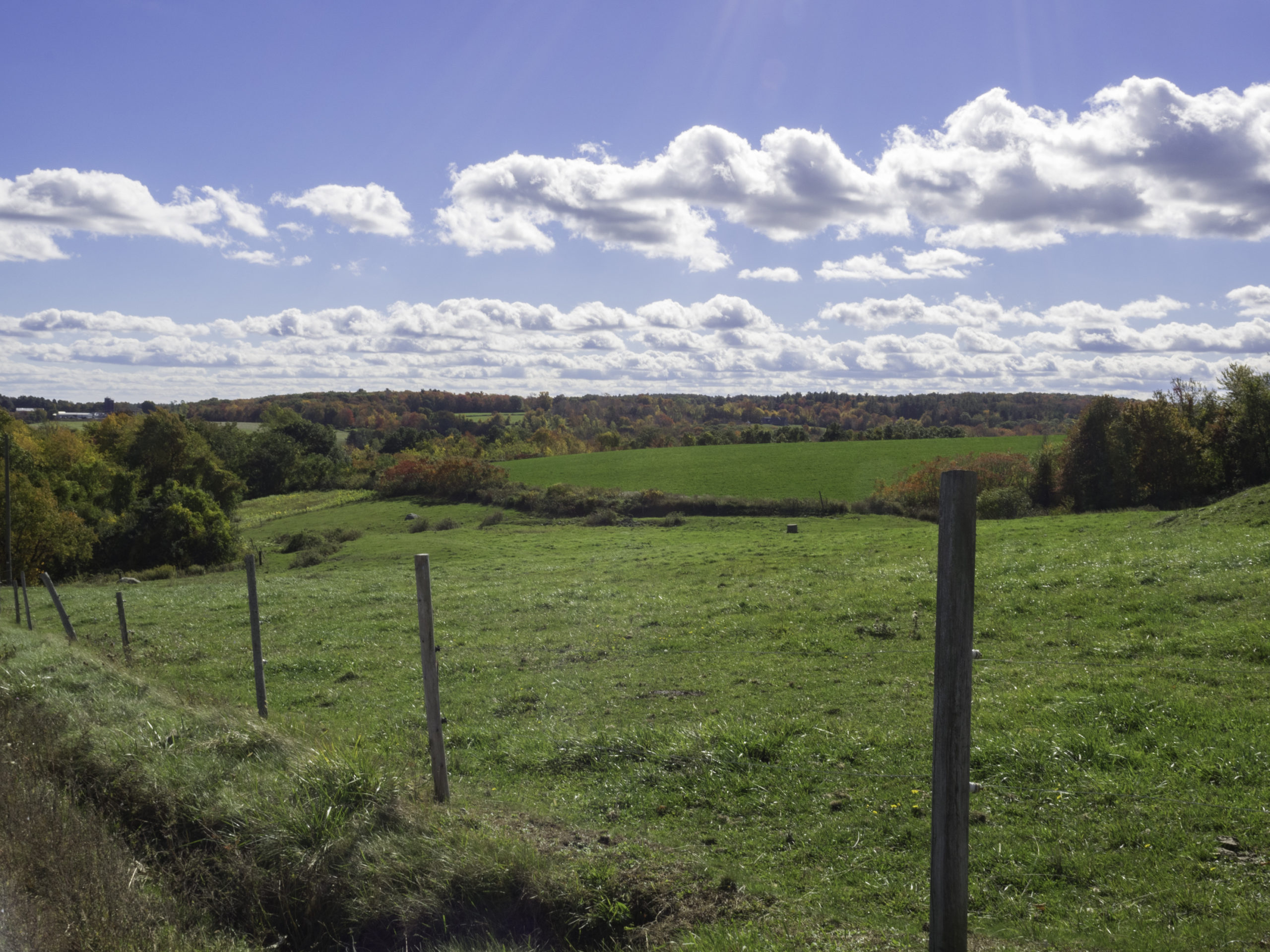 View from Whittier Farm in Sutton, MA. Photo by Carol Dandrade, BHC Photography Ambassador.