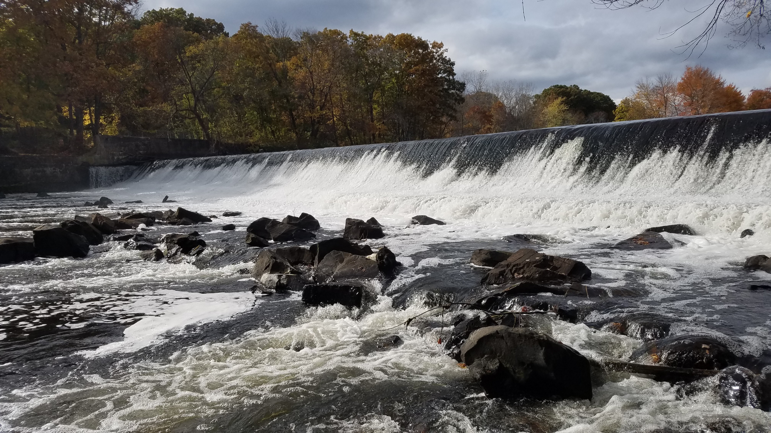 Albion Dam in Lincoln, RI. Photo by Bonnie Combs.