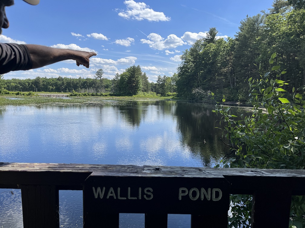 Wallis Pond_resized